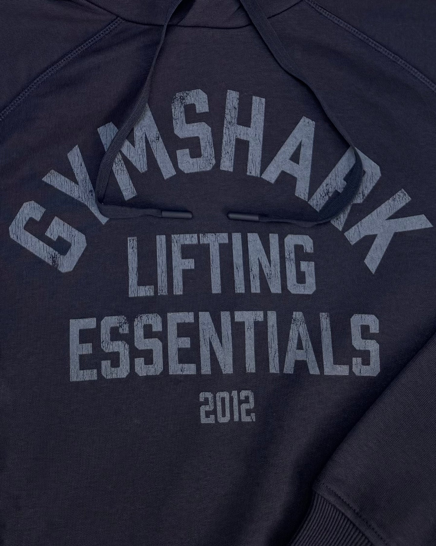 Lifting Essentials Hoodie