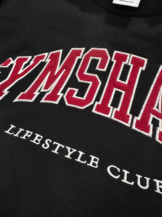 Collegiate Graphic Crew Neck Pullover